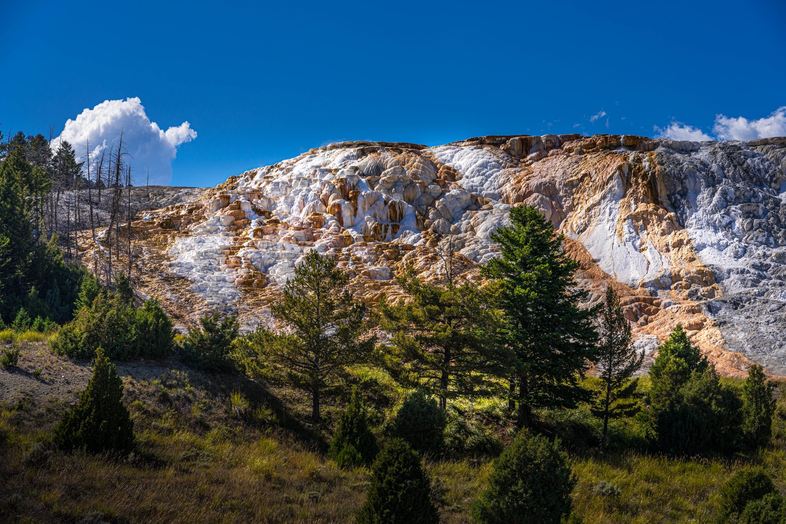 Mammoth Hot Springs