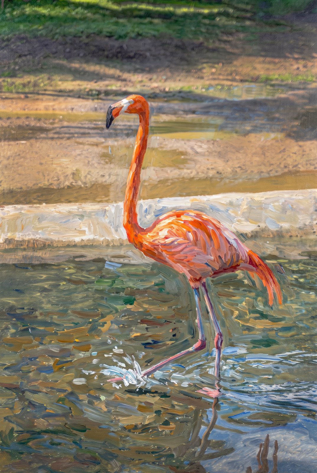 American Flamingo Wading Through Shallow Water, Impressionist